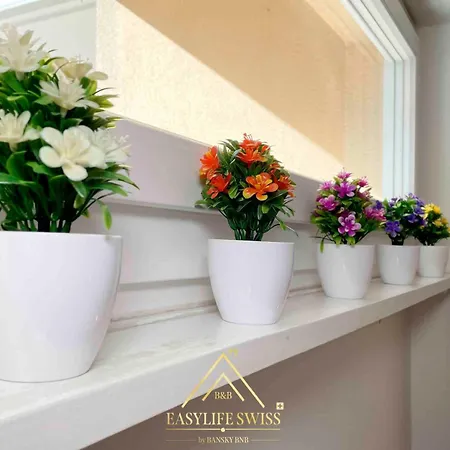 X2pax -by Easylife Swiss Апартаменти Лугано