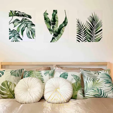 X2pax -by Easylife Swiss *