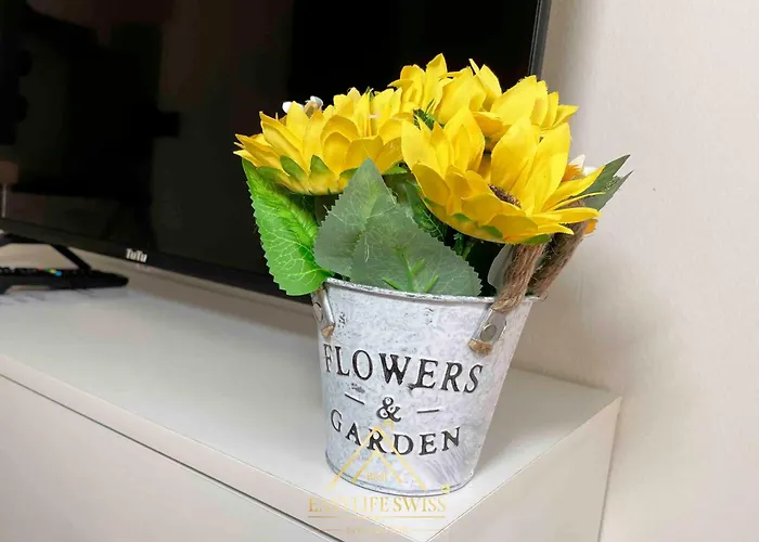 X2pax -by Easylife Swiss Appartement Lugano