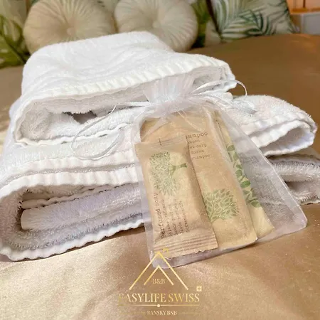 X2pax -by Easylife Swiss Apartment Lugano