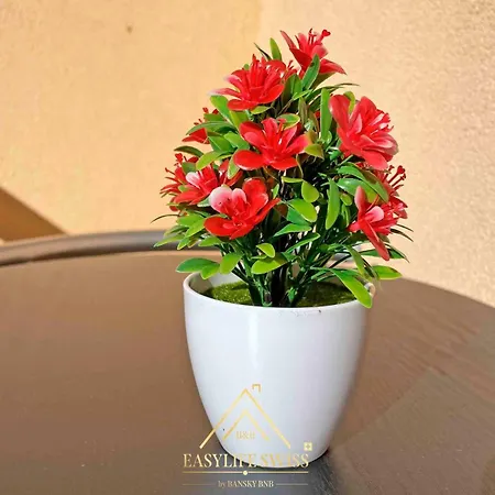 X2pax -by Easylife Swiss * Lugano