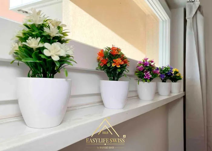 X2pax -by Easylife Swiss Apartment Lugano