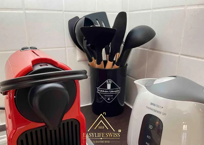 X2pax -by Easylife Swiss