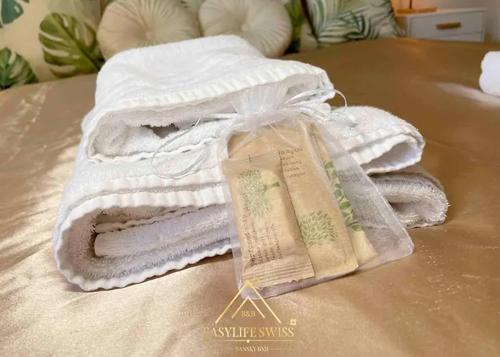 X2pax -by Easylife Swiss Apartment Lugano