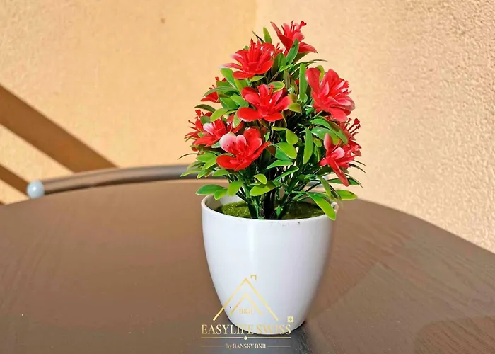 X2pax -by Easylife Swiss * Lugano