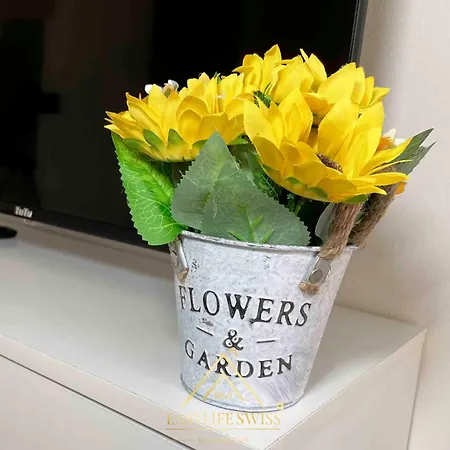 X2pax -by Easylife Swiss アパート ルガーノ